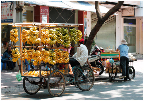 Vietnam authentique pour 12jours/11nuits à partir de $667/pers