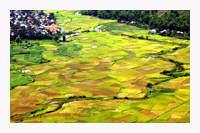 Visite de Mai Chau