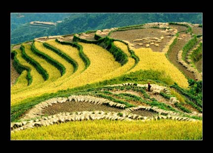 Extrême du Nord Vietnam