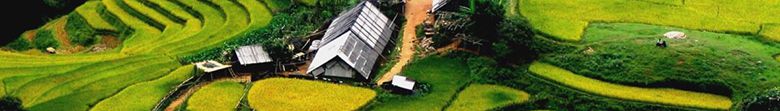 Rizières en terrasses à Sapa - Vietnam du Nord au Sud 15jours