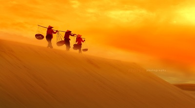 dune de sable luong son